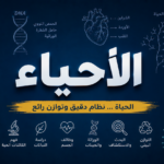 السادس علمي