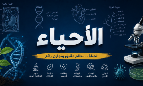 الصورة المصغرة للدورة